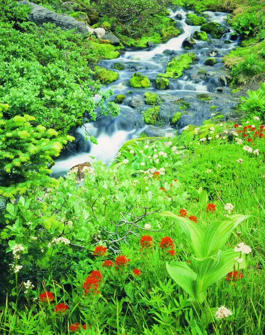 Select Cleaning environmental responsibility — eco-friendly cleaning products and practices